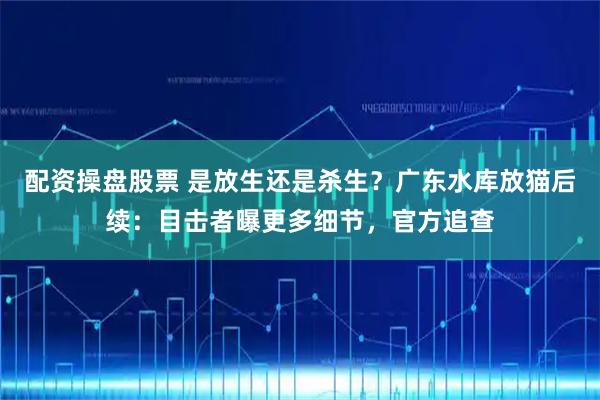 配资操盘股票 是放生还是杀生？广东水库放猫后续：目击者曝更多细节，官方追查