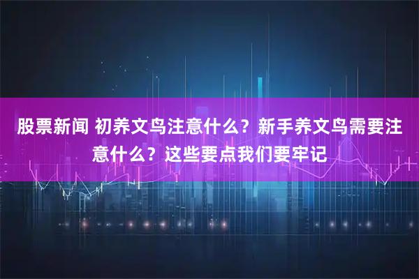 股票新闻 初养文鸟注意什么？新手养文鸟需要注意什么？这些要点我们要牢记
